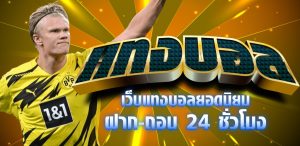 แทงบอลมือใหม่